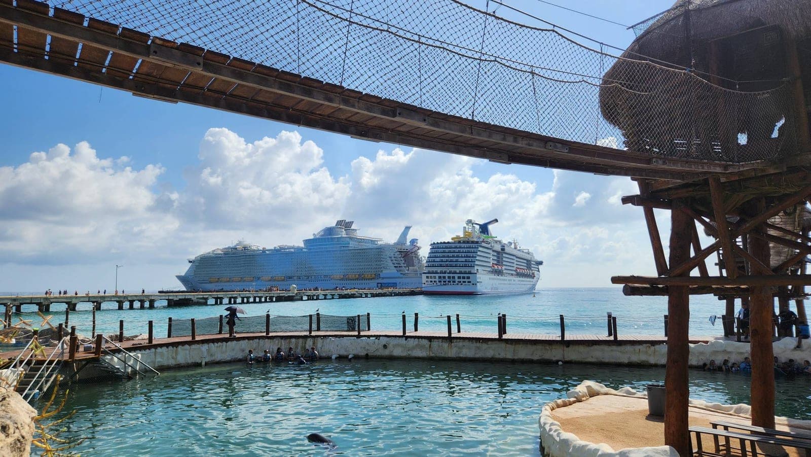 Large cruise ships docked at Costa Maya, viewed from under a rope bridge near the terminal's dolphin pool
