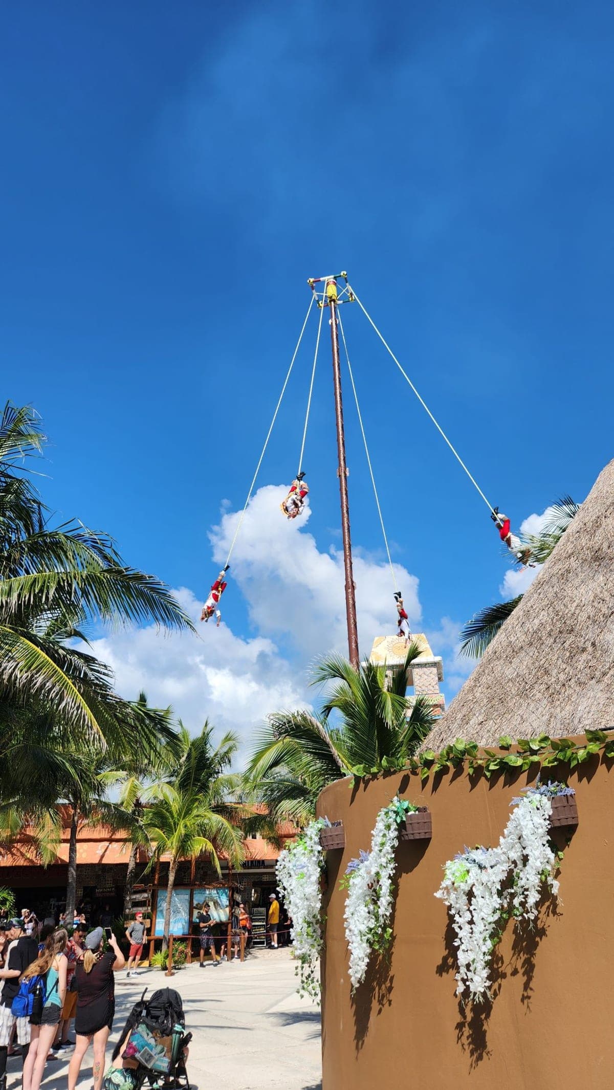 Voladores de Papantla performers swinging upside down from ropes on a tall pole above the Costa Maya cruise terminal