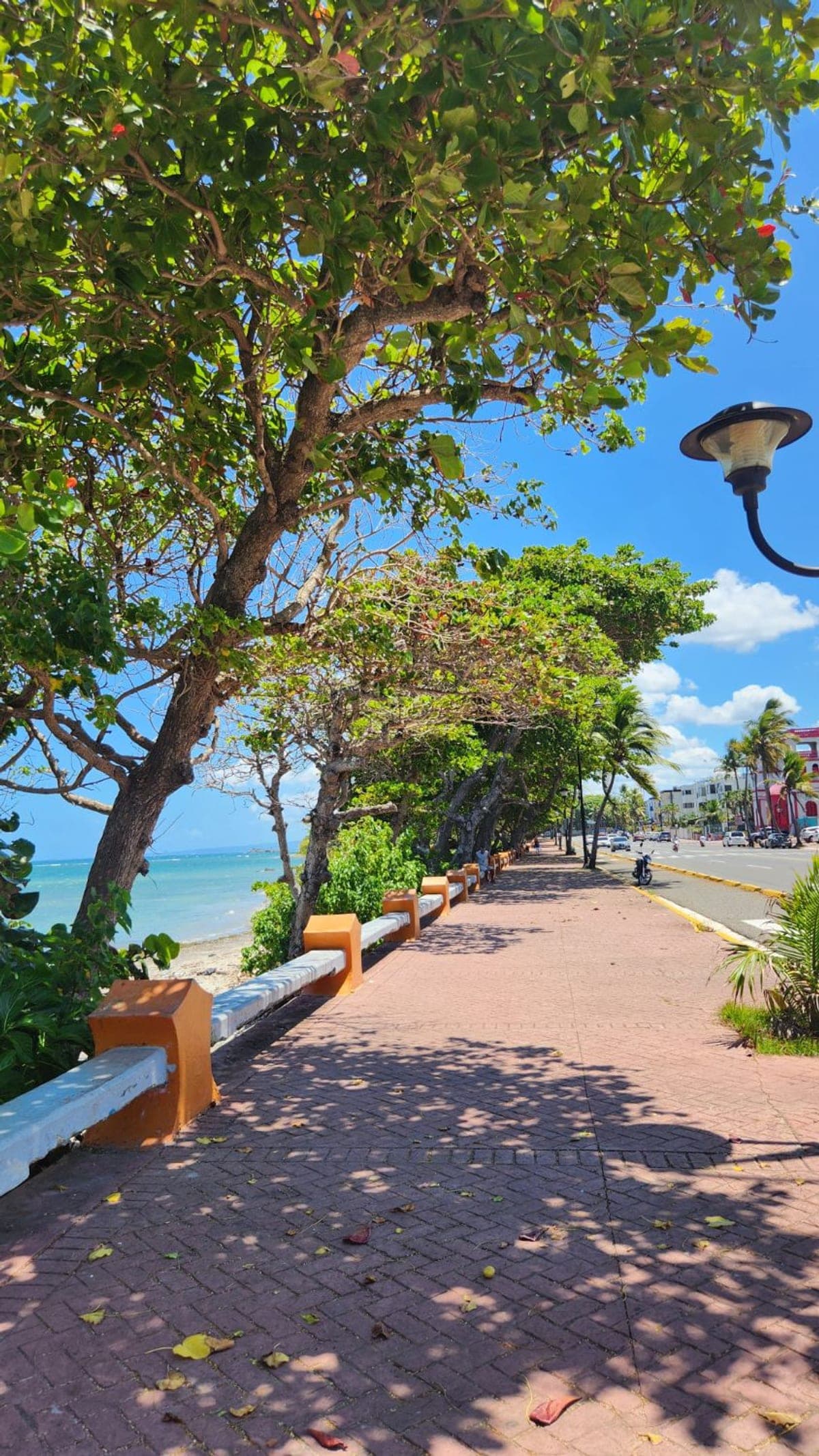 A tree-shaded beachfront promenade along Puerto Plata's Malecon with the ocean alongside