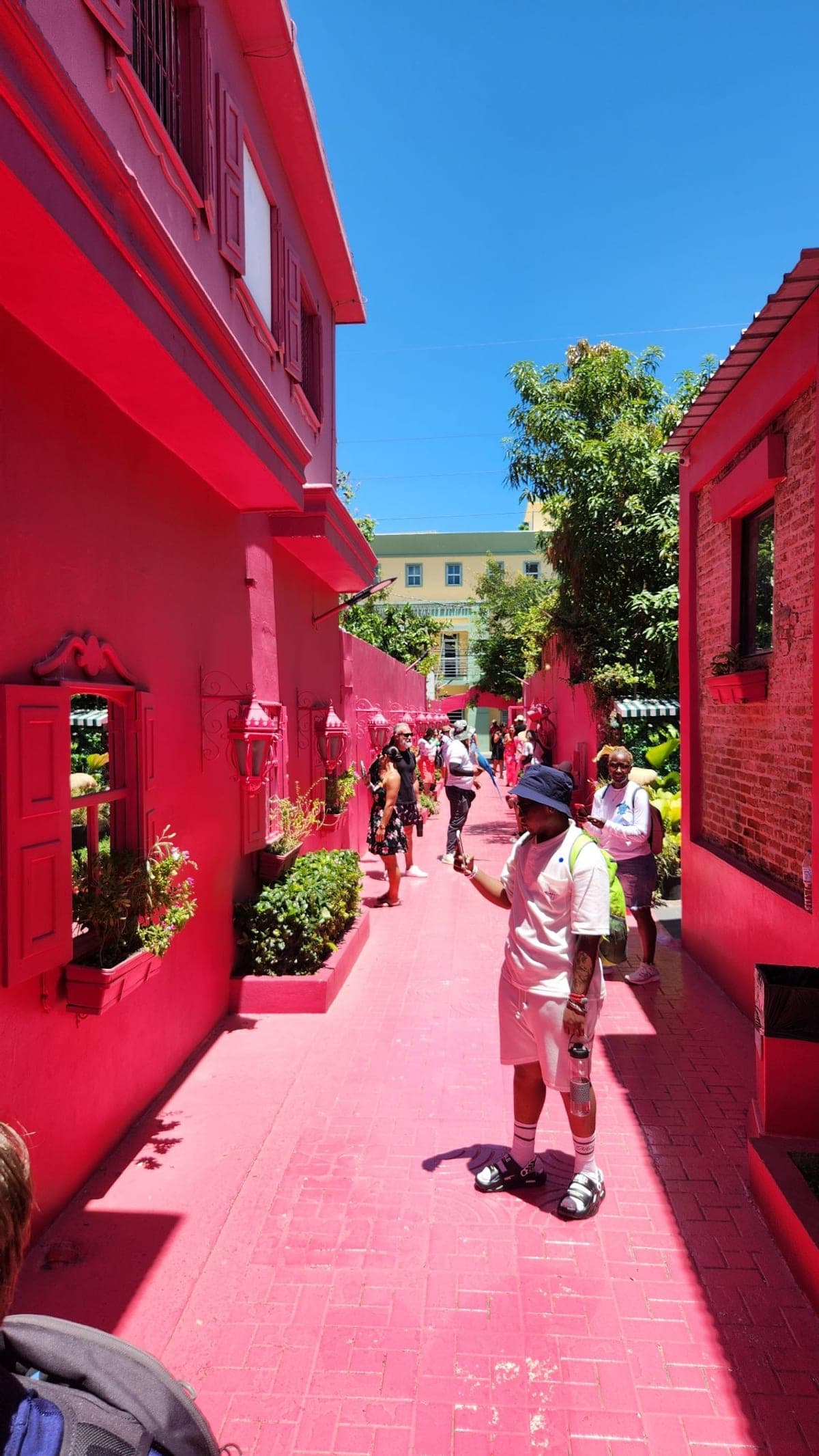 A brightly painted pink alleyway in Puerto Plata with visitors and a vendor holding a macaw