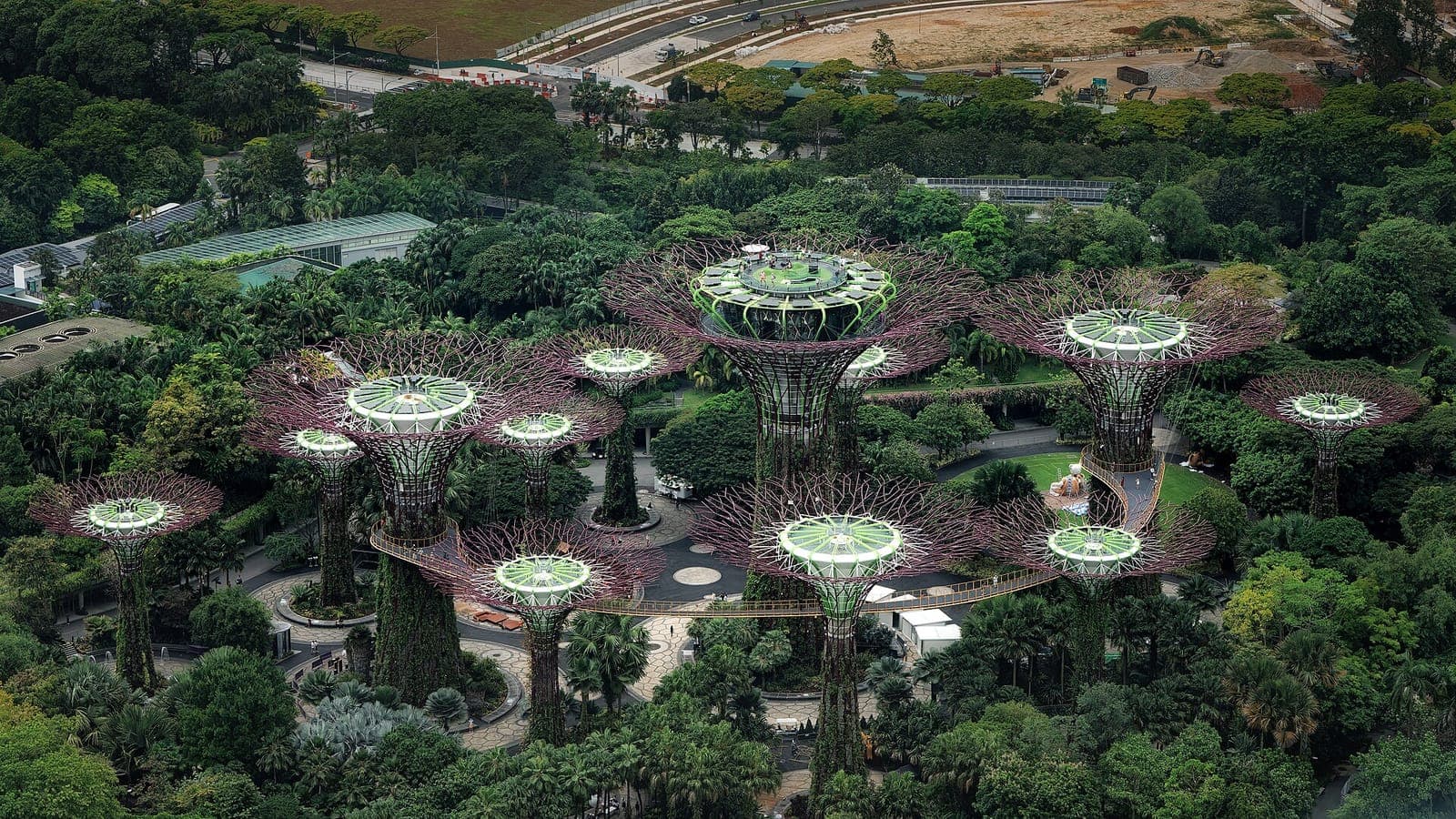 The Supertree Grove at Gardens by the Bay in Singapore
