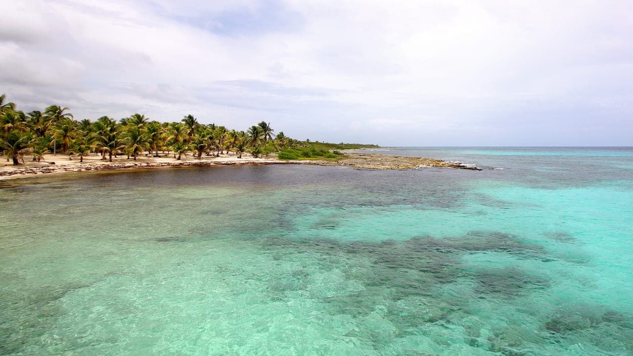 Costa Maya