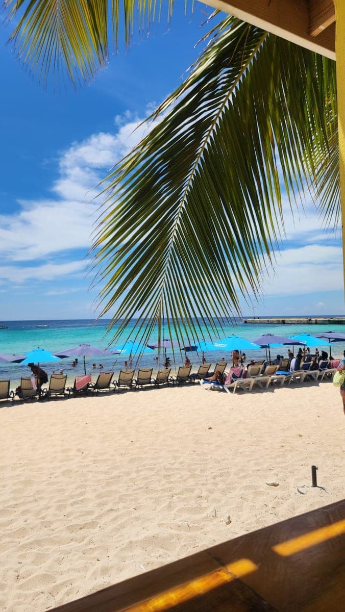 White-sand Grand Turk beach with turquoise water, lounge chairs, umbrellas, and a palm frond in the foreground