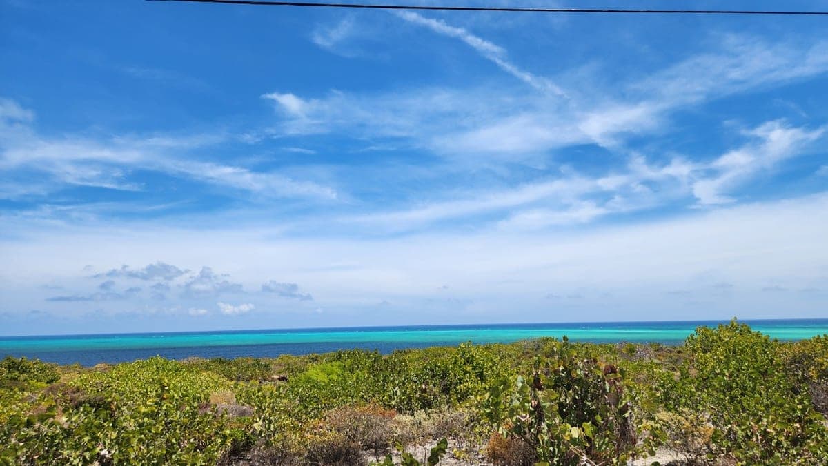 Turquoise Grand Turk coastline beyond low coastal vegetation under a wide blue sky