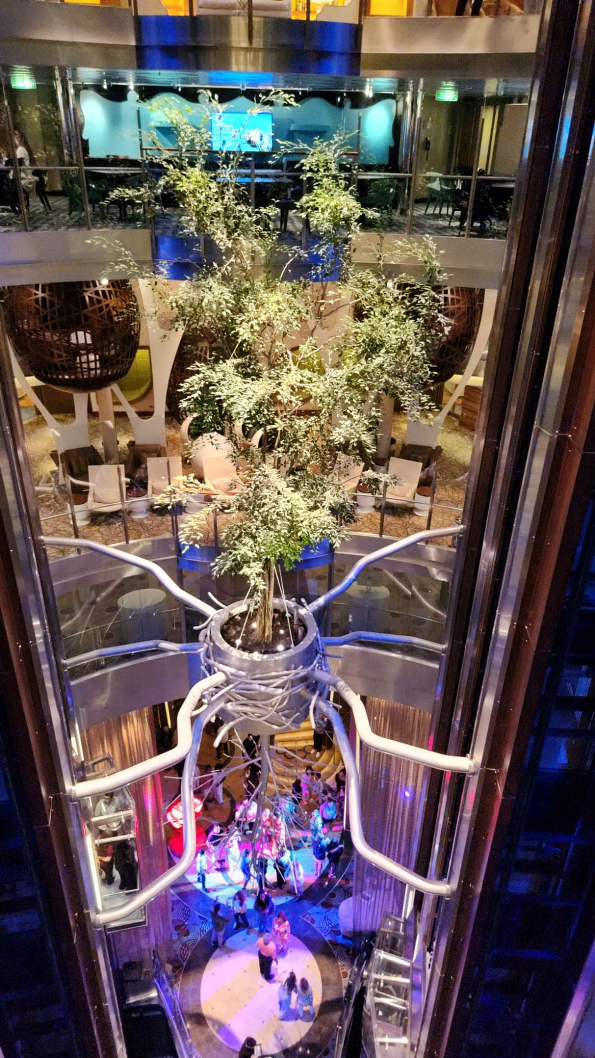 A multi-deck view down into Celebrity Reflection's atrium, lit up at night around a large artificial tree