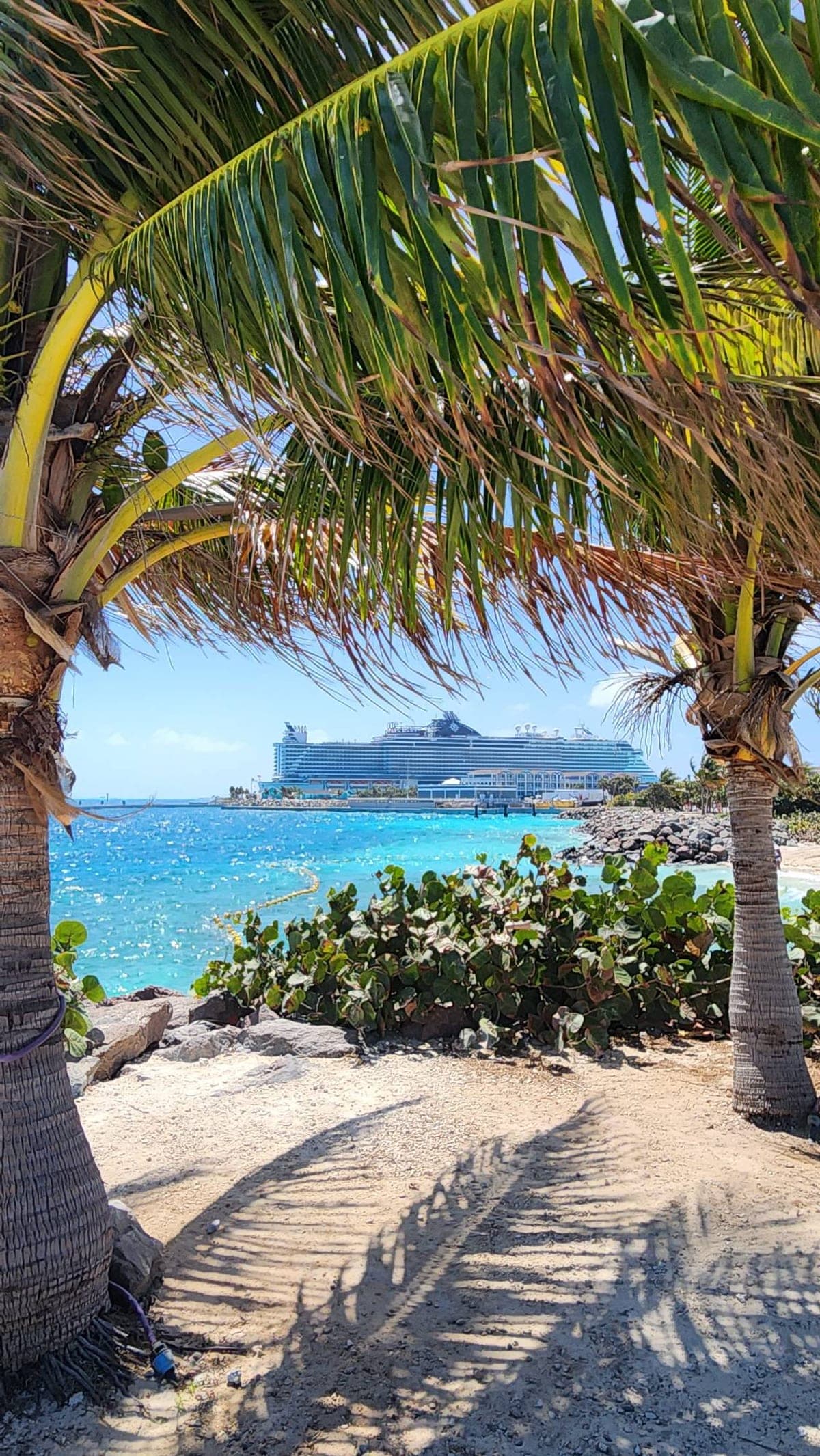 MSC Seaside anchored offshore at Ocean Cay MSC Marine Reserve, viewed through palm trees on the beach
