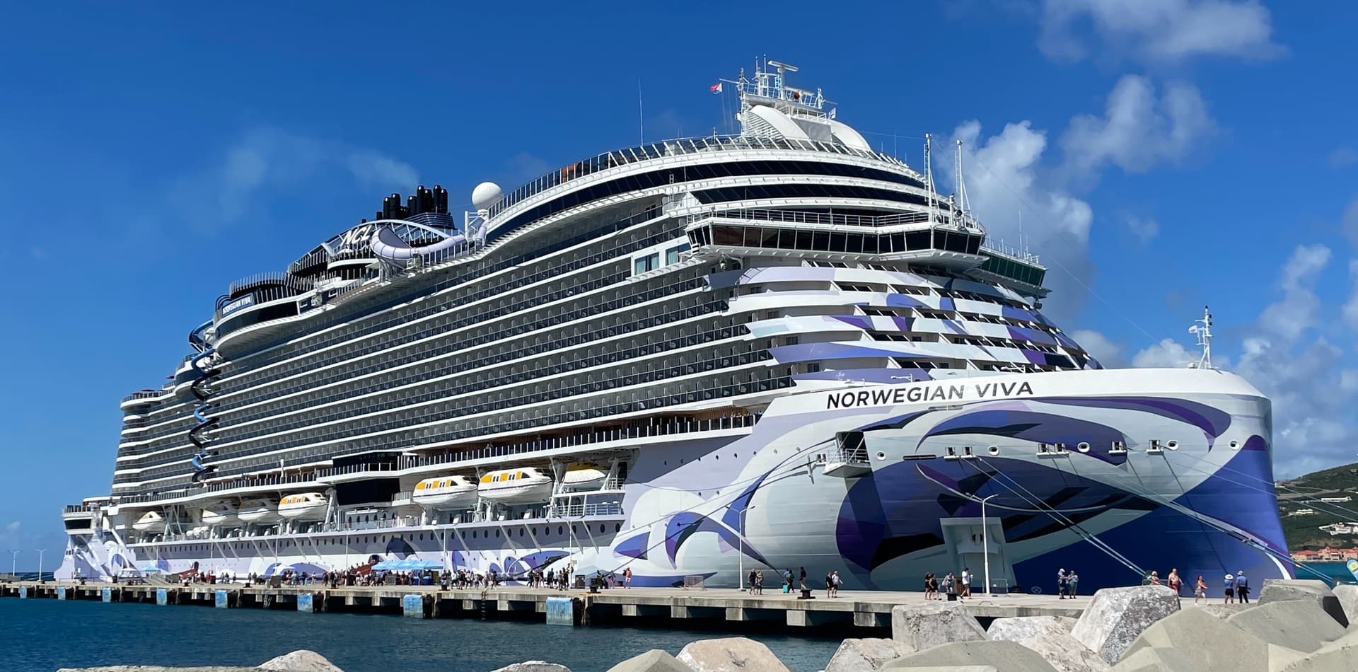 Norwegian Viva cruise ship at sea